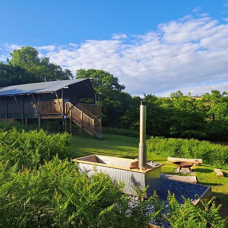 Brackenhill Glamping - Safari Tent With Hot Tub - Sleeps 6 Ivybridge Exteriör bild