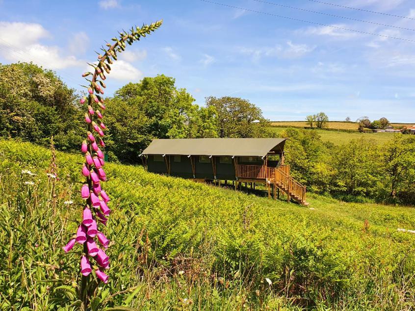 Brackenhill Glamping - Safari Tent With Hot Tub - Sleeps 6 Ivybridge Exteriör bild